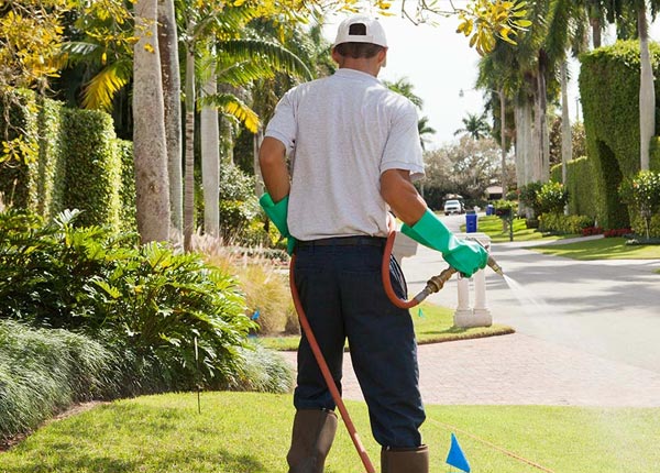 About Maxwell NM Pest Control